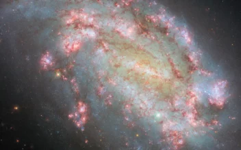 La galaxia NGC 1559 vista por el telescopio espacial Hubble