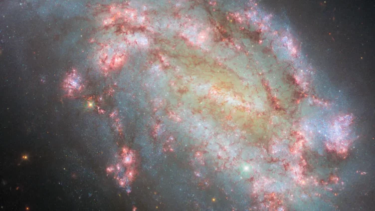 La galaxia NGC 1559 vista por el telescopio espacial Hubble