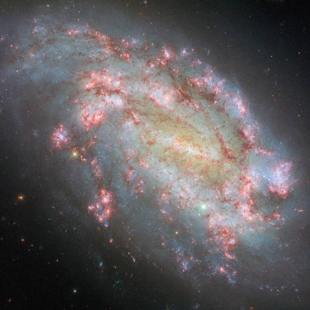 La galaxia NGC 1559 vista por el telescopio espacial Hubble